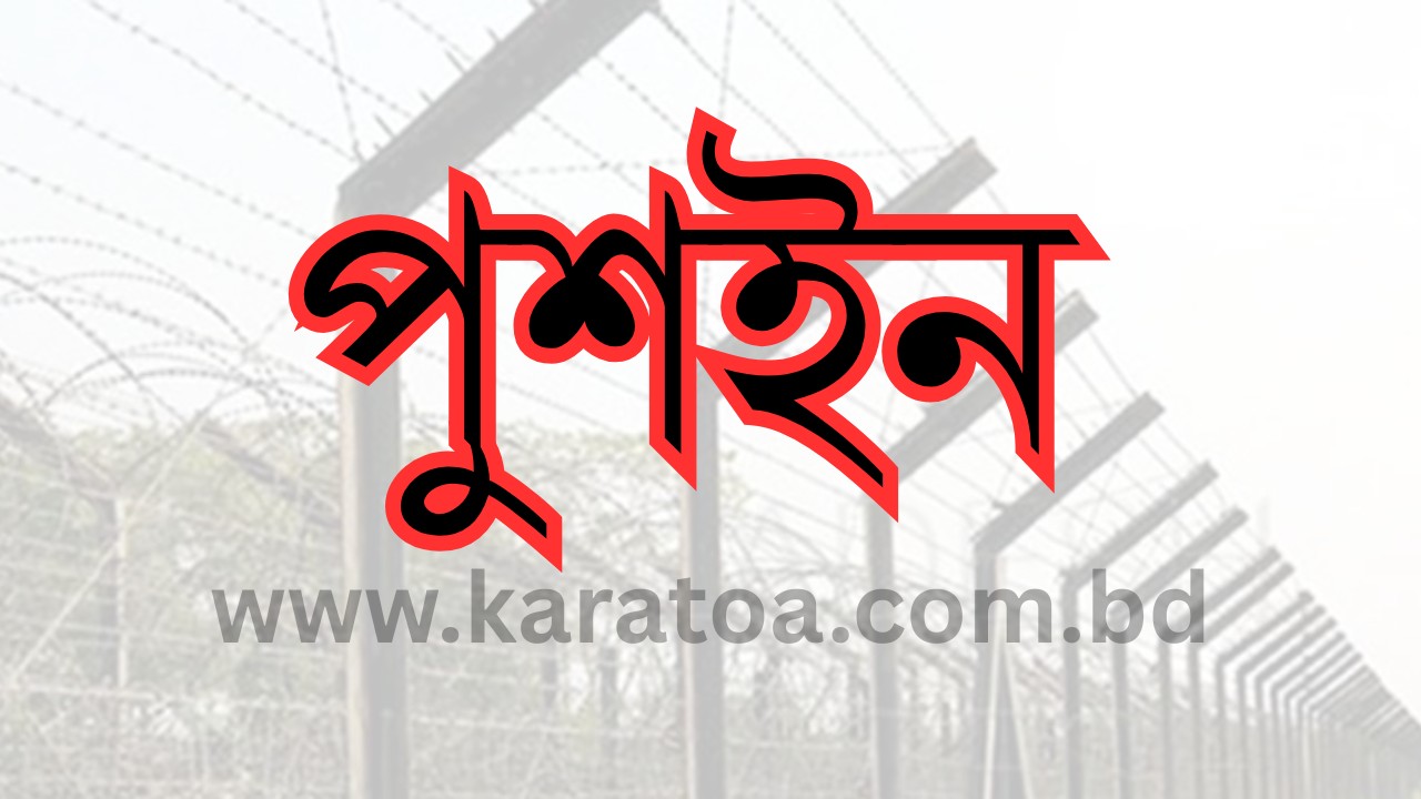 চাঁপাইনাবগঞ্জের ভোলাহাট সীমান্ত দিয়ে আরও ১৯ জনকে পুশইন